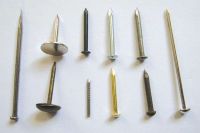 Iron Nails,Common Wire Nail supplier,Roofing Nail exporter