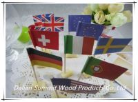 Country National Flag Toothpick