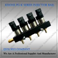 2013 Hot Sale CNG Conversion Kits PG-K Injector