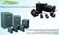 servo motor, servo driver, servo system