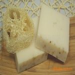 Walk Forest Oil Soap