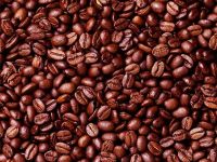Export Robusta Coffee Beans,Robusta Coffee Bean Importer,Robusta Coffee Beans Buyer,Buy Robusta Coffee Beans,Robusta Coffee Bean Wholesaler,Robusta Coffee Bean Manufacturer,Best Robusta Coffee Bean Exporter,Low Price Robusta Coffee Beans,Best Quality Robu