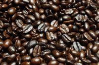 Export Arabica Coffee Beans,Arabica Coffee Bean Importer,Arabica Coffee Beans Buyer,Buy Arabica Coffee Beans,Arabica Coffee Bean Wholesaler,Arabica Coffee Bean Manufacturer,Best Arabica Coffee Bean Exporter,Low Price Arabica Coffee Beans,Best Quality Arab