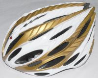 Mountain Bicycle/Road Bike Safety Adult Helmet