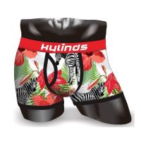 Underwear Manufacturer Offer OEM Men's BoxersBriefs In High Quality