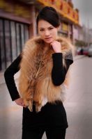 GYZ002 2013 New Style Fox Fur  Luxurious Fashion Graceful Women Vest