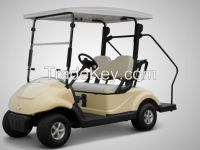 2 Seater Electric Club Cart