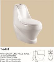 washdown one-piece toilet