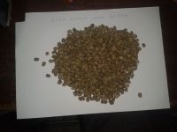 KENYA ARABICA COFFEE BEANS