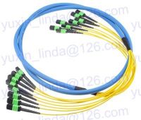 MPO MTP Trunk Cable Assemblies fiber optic cable