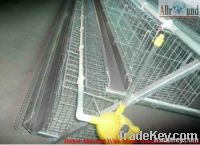 Laying Hen Cage