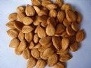 https://fr.tradekey.com/product_view/Sweet-Apricot-Kernels-6167121.html