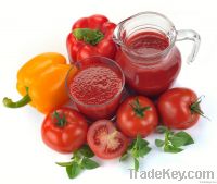 ketchup/tomato paste/tomato sauce/Suzhou Banshda ketchup