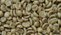 Export Robusta Coffee Beans | Robusta Coffee Bean Importer | Robusta Coffee Beans Buyer | Buy Robusta Coffee Beans | Robusta Coffee Bean Wholesaler | Robusta Coffee Bean Manufacturer | Best Robusta Coffee Bean Exporter | Low Price Robusta Coffee Beans | B