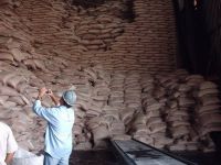 100% White Refined Brazilian Sugar Icumsa 45 in Egypt