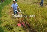 Small Rice Harvest Machine/price Of Rice Harvester/reaper Binder 4GK100