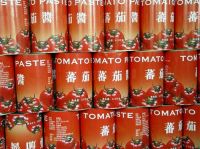 canned tomato manufacturer canned tomate paste
