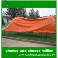 pe tarpaulin birthday design stocklot buy china factory