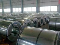 galvanized steel coil