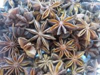 Star aniseed