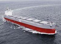 BULK CARRIER / CARGO SHIPS