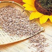 Black sunflower seeds "Favorit"