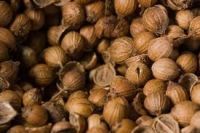 Coriander seeds