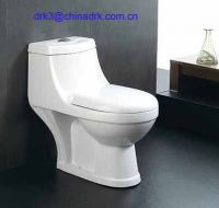 Washdown One piece Toilet DRK-8003