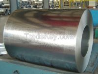 Hot Dipped Galvanised Steel Sheet in Coils