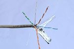    UTP cable