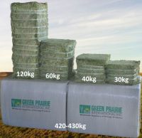 https://www.tradekey.com/product_view/Compressed-Bales-6256249.html