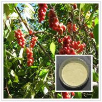 Schisandra Extract