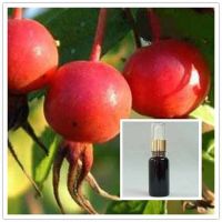 Rose Hip Oil