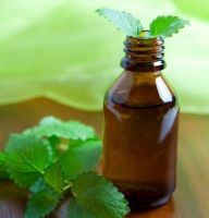 Peppermint Essential Oil