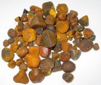 Ox Gallstones | Cattle Gallstones | Cow Gallstones