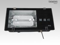 60W induction lamp tunnel lights TL003  thmins ChangZhou