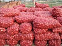 RED ONION