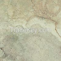 rustic tile-cement