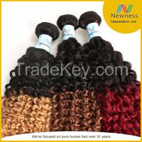 Brazilian kinky curly ombre hair hot two tone colored hair extension
