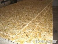 sell 6-40mm OSB boards