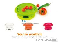 Digital Kitchen Scale