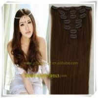 Long Curly Clip In Human Hair Extension