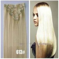 Wholesale Grade 5A 100% European Virgin Hair Clip In Hair Extensions