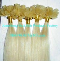 Wholesale Tangle Free  5A Grade Russian  Pre bonded  U Tip Hair Extension