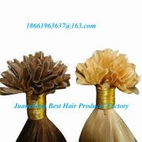 Wholesale High Grade Quality Model Model Cheap U-Tip Pre-bonded Hair Extension