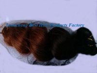 wholesale 5a grade T color unprocessed 100% virgin brazilian human hair extension