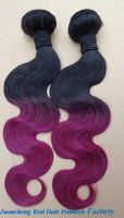 Wholesale Top Grade 5a Bosy Wave T color 100% Virgin Brazilian  Hair Weft