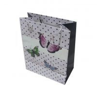 Shoes gift bag