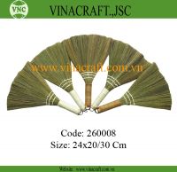 Small Vietnam grass broom
