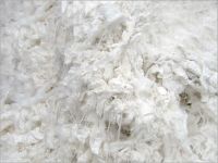 cotton thread waste